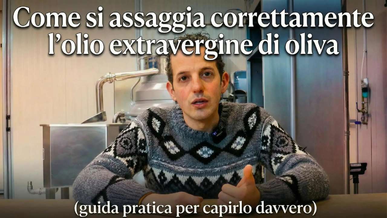Come si assaggia correttamente l’olio extravergine di oliva (guida pratica per capirlo davvero)