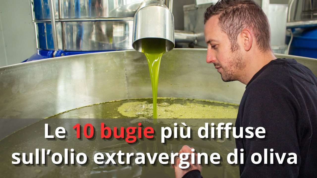 Le 10 bugie più diffuse sull’olio extravergine di oliva