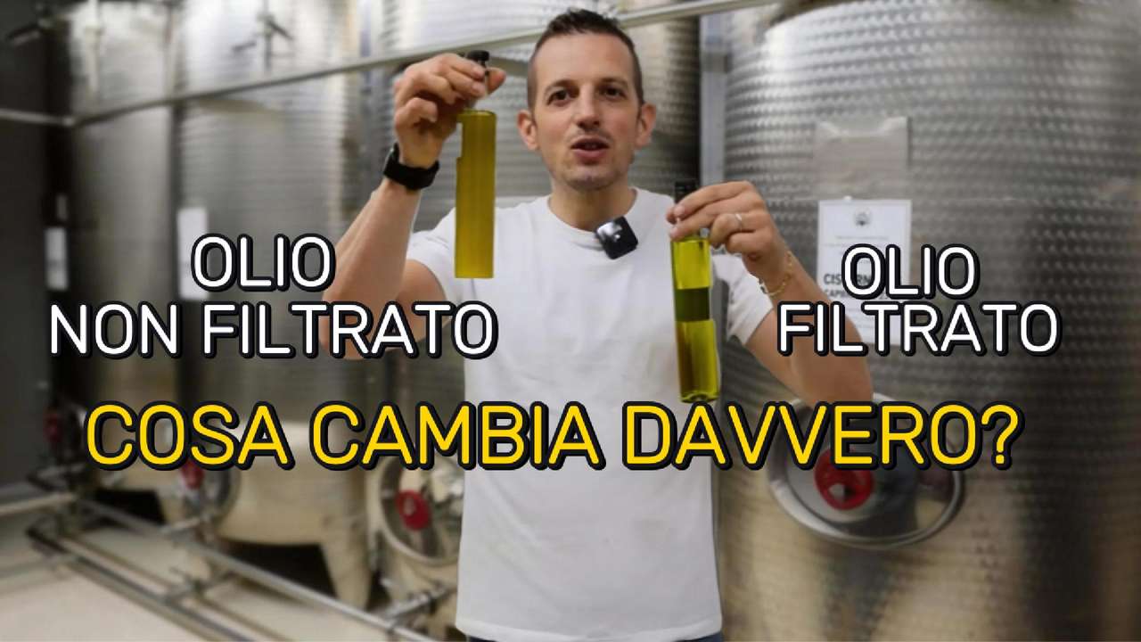 Olio filtrato o non filtrato: qual è davvero il migliore