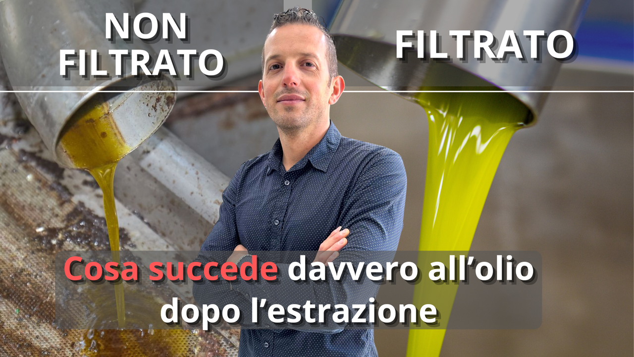 Olio filtrato o non filtrato: cosa succede davvero all’olio dopo l’estrazione