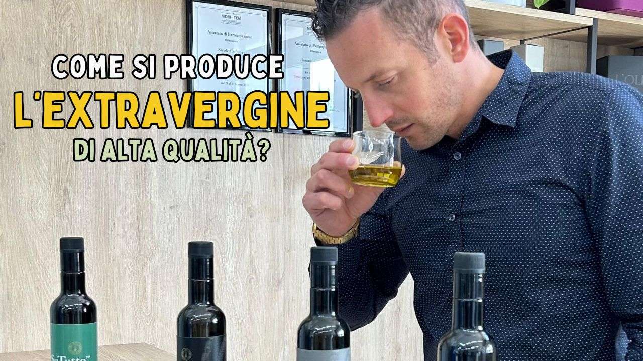 Come si produce l’olio extravergine d’oliva: cosa c’è davvero dietro una bottiglia