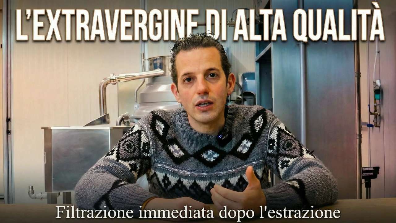 Cosa succede all’olio nelle prime ore dopo la molitura e perché è decisivo per la qualità