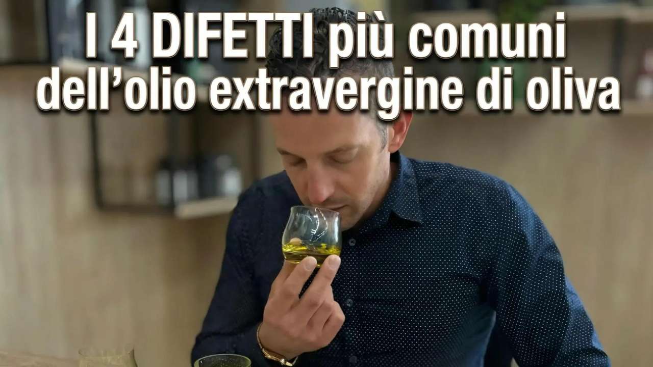 I 4 difetti più comuni dell’olio extravergine di oliva
