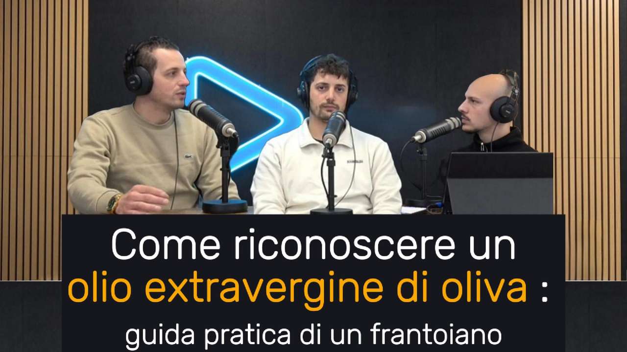 Come riconoscere un olio extravergine di oliva di qualità: guida pratica da un frantoiano