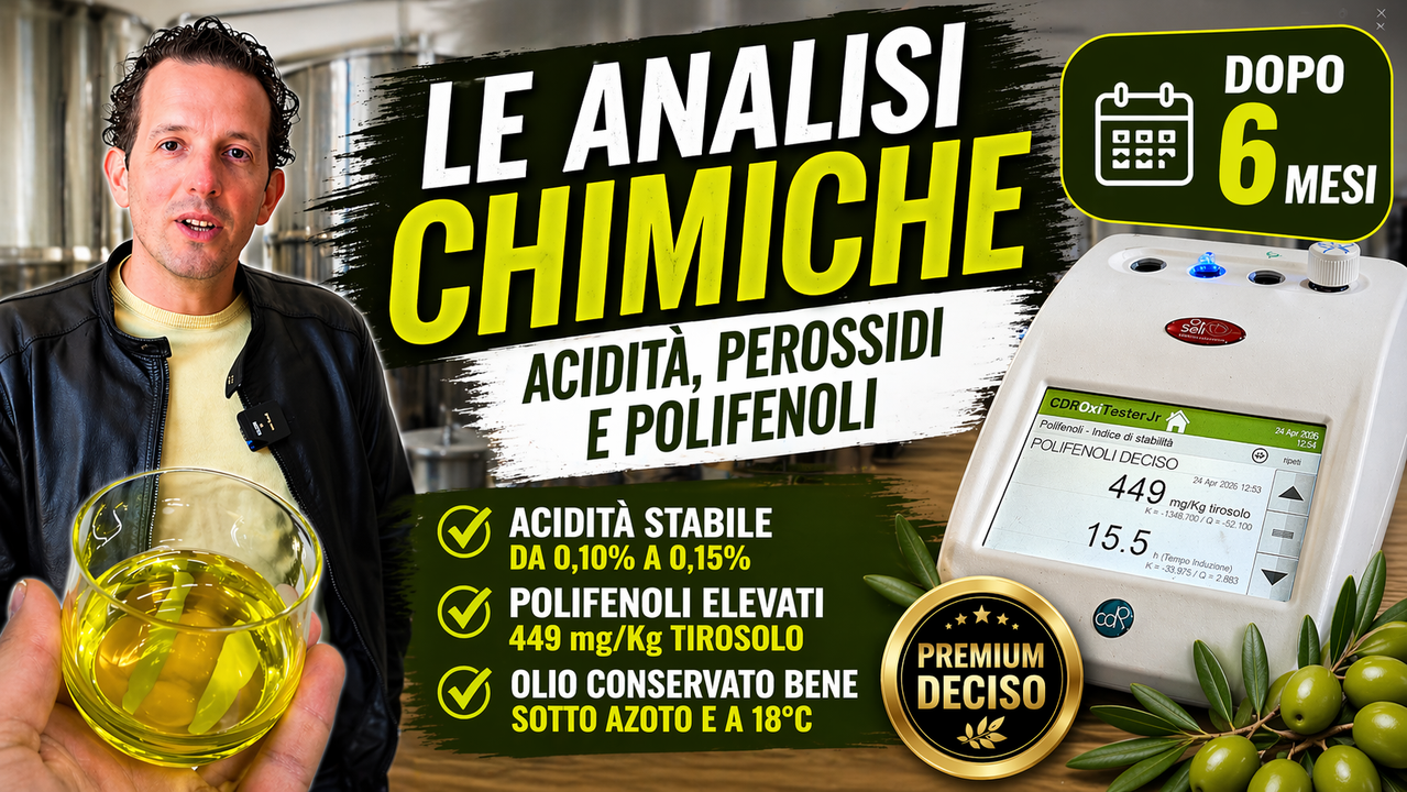 Olio extravergine dopo 6 mesi: cosa succede davvero (analisi reale)