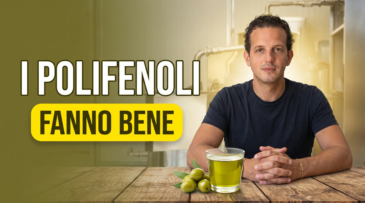 I polifenoli dell'olio extravergine: cosa sono e perché fanno così bene