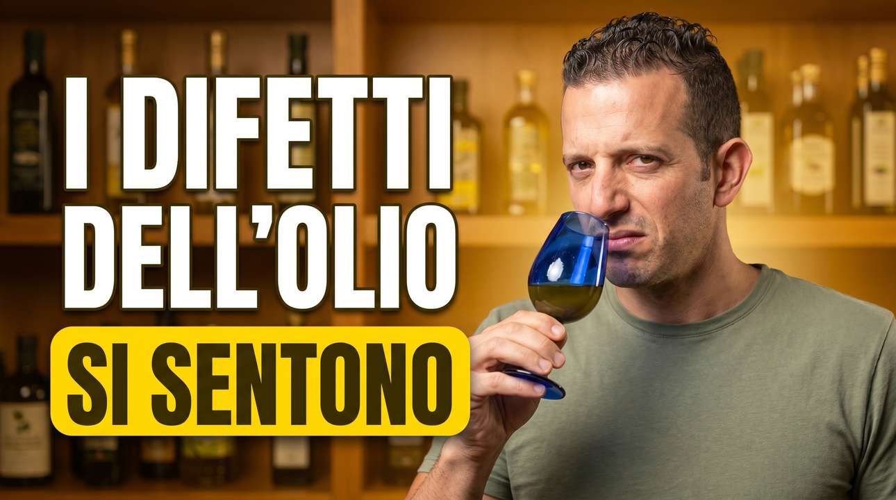 I difetti dell'olio extravergine di oliva: quali sono e come riconoscerli