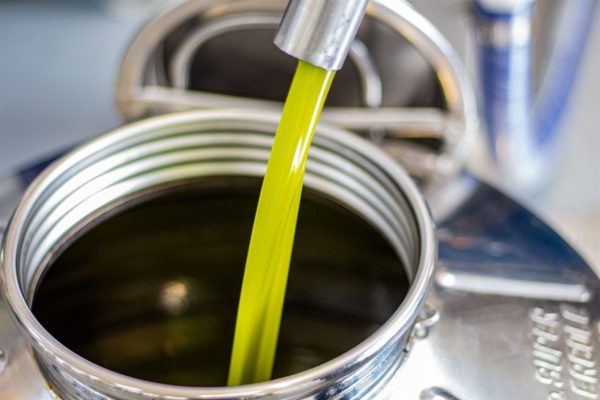 olio lucano extravergine di oliva 20 litri