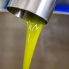 20 Litri di olio Extravergine di oliva lucano